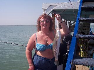 Gambia River Fish